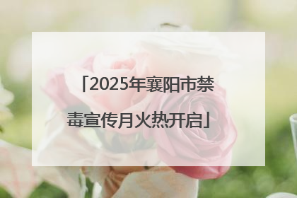 2025年襄阳市禁毒宣传月火热开启